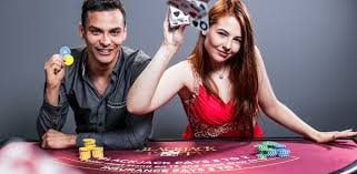 Dashboard pengguna dengan riwayat prediksi dan hasil